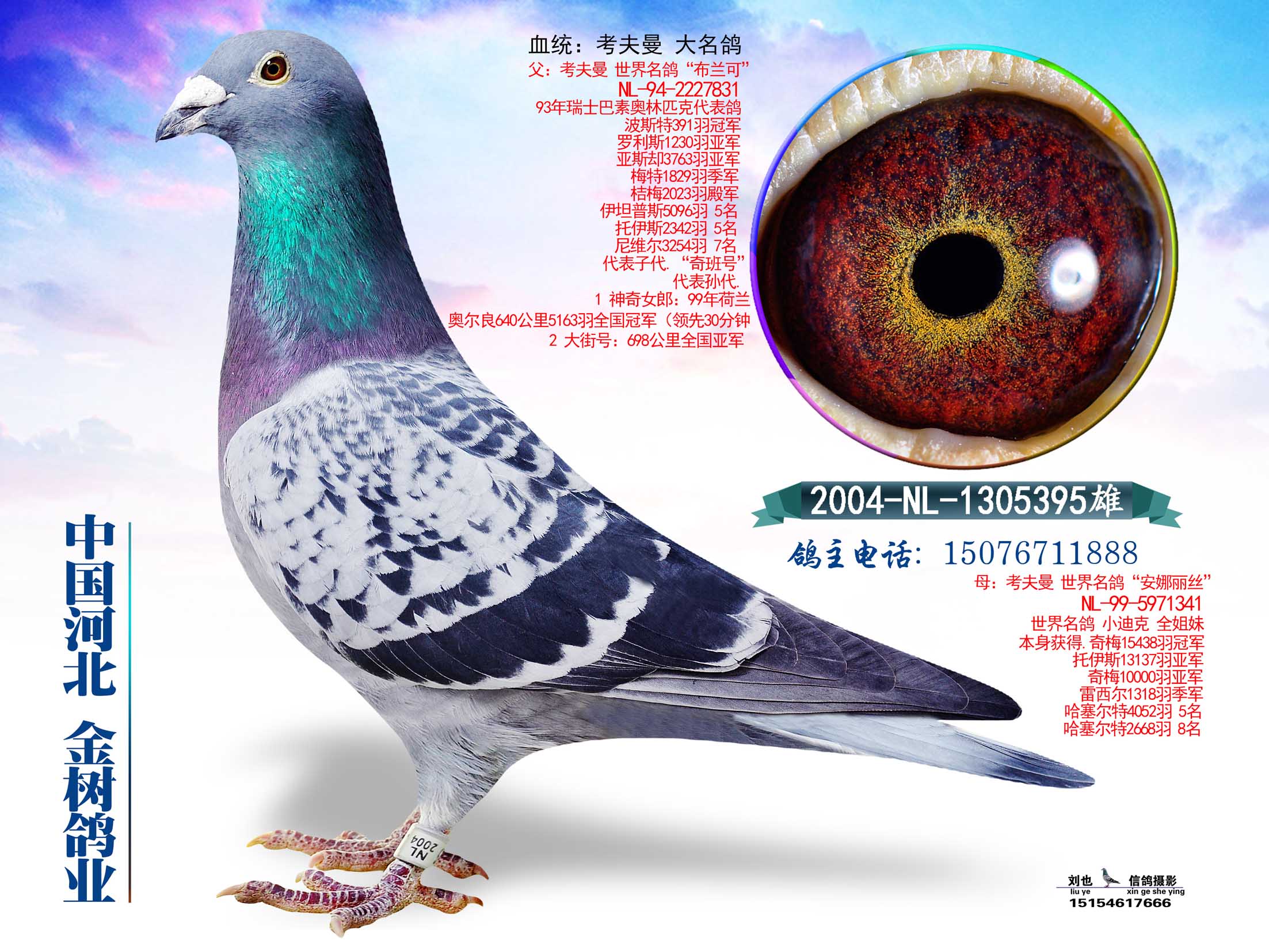 ����TA�ĸ�����