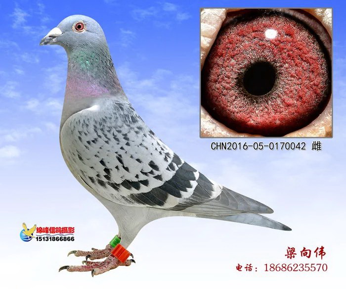 ����TA�ĸ�����