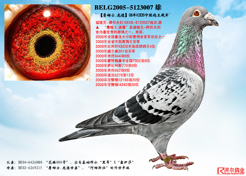 ����TA�ĸ�����