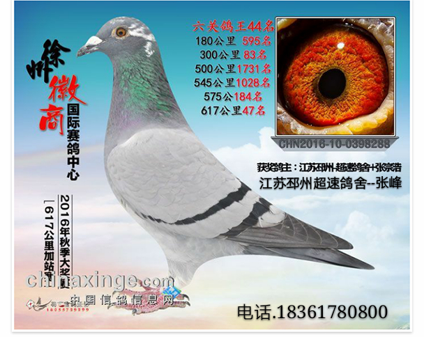 ����TA�ĸ�����