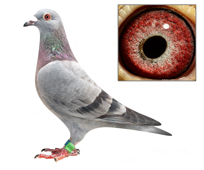 ����TA�ĸ�����