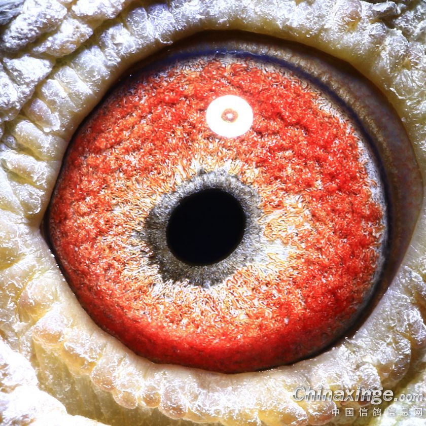 ����TA�ĸ�����