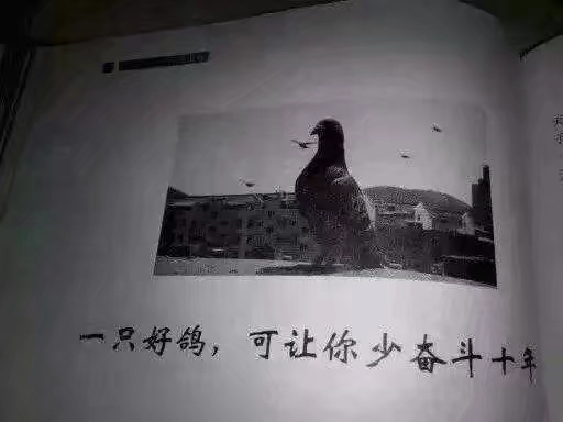 ����TA�ĸ�����