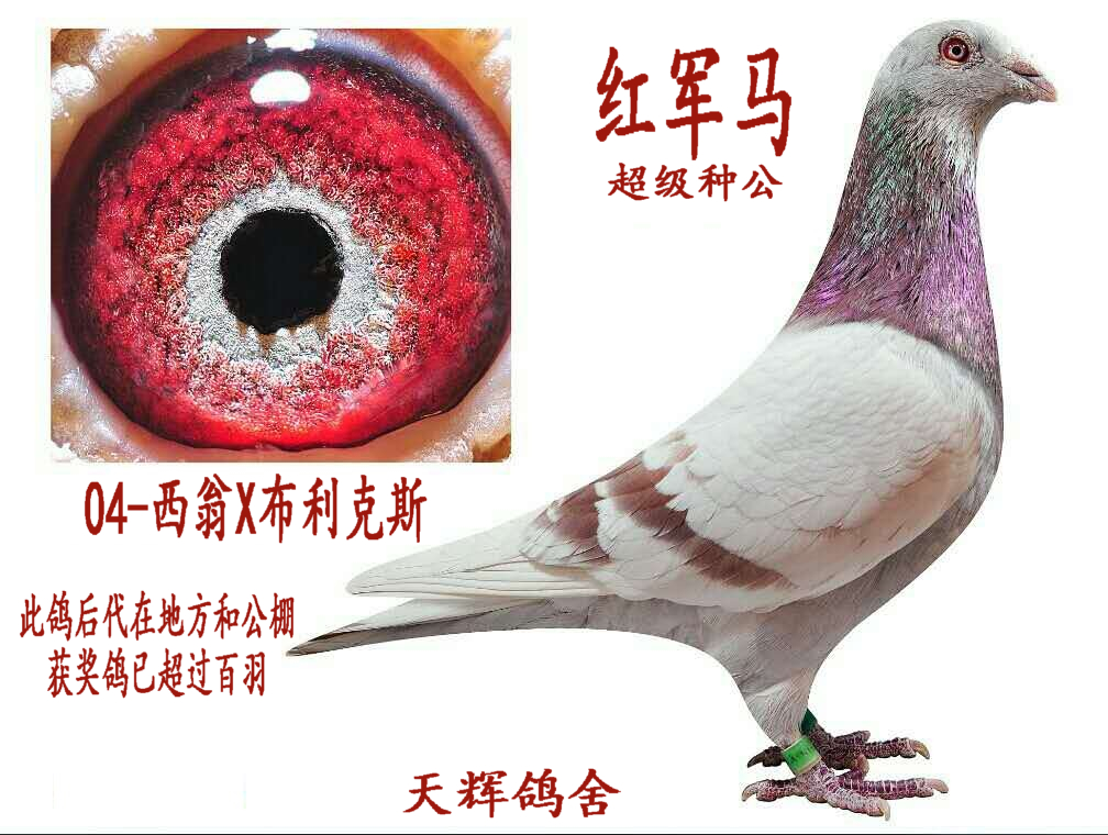 ����TA�ĸ�����