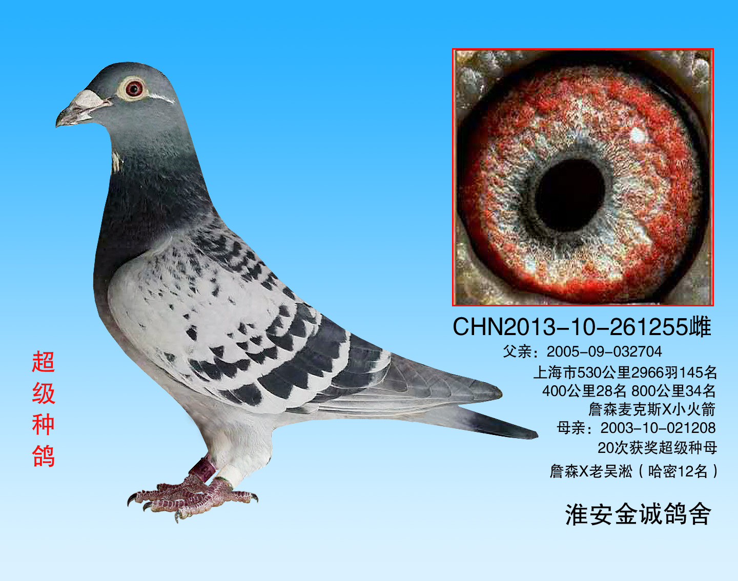 ����TA�ĸ�����