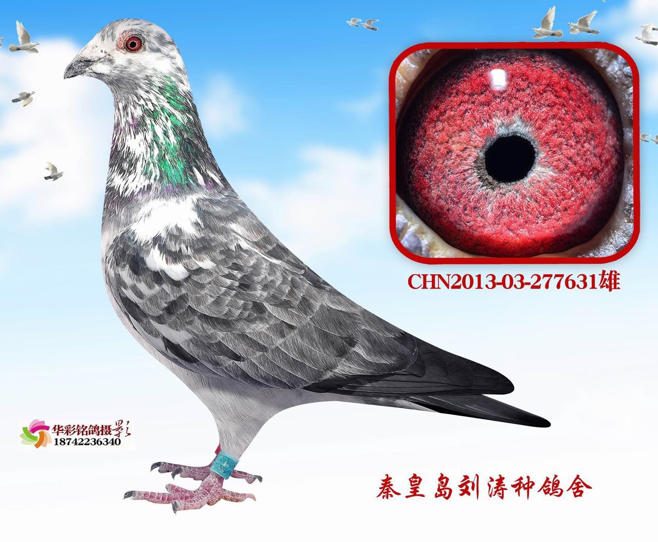 ����TA�ĸ�����