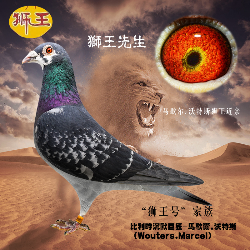 ����TA�ĸ�����