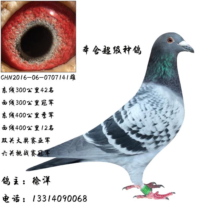 ����TA�ĸ�����