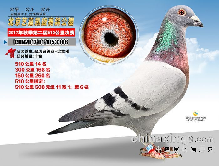 ����TA�ĸ�����