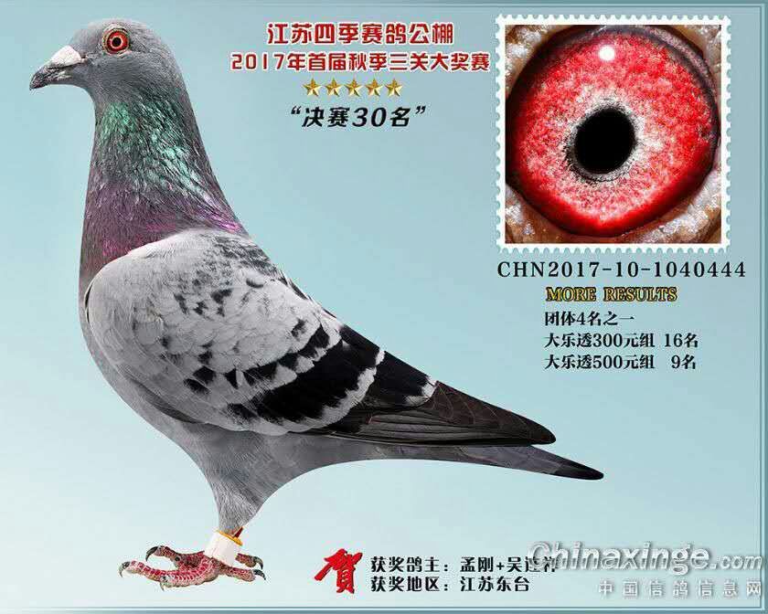 ����TA�ĸ�����