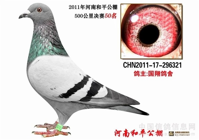 ����TA�ĸ�����