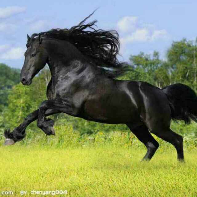 ����TA�ĸ�����