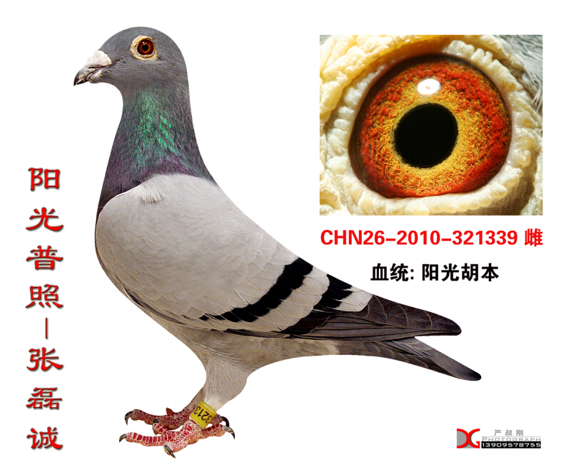 ����TA�ĸ�����