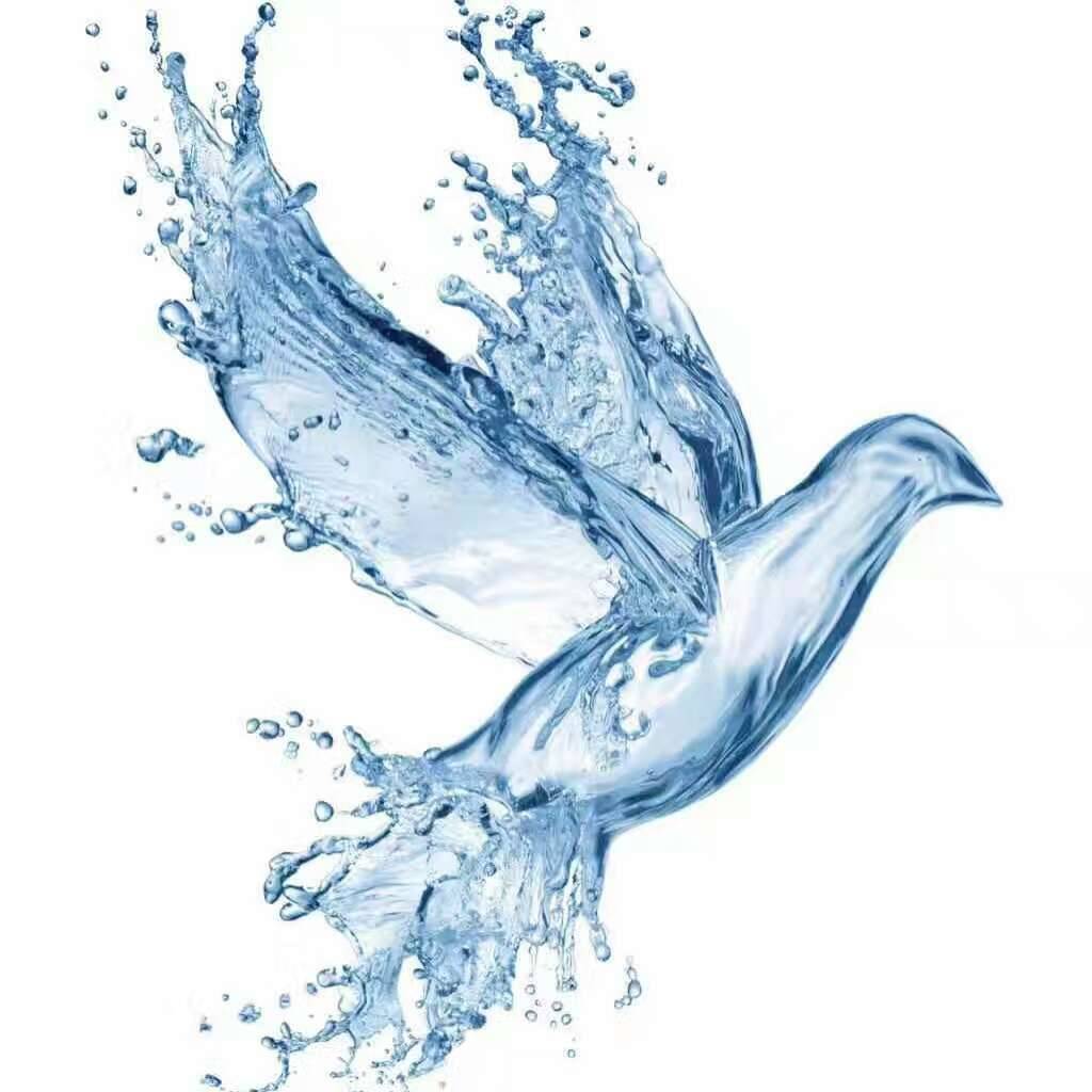 ����TA�ĸ�����