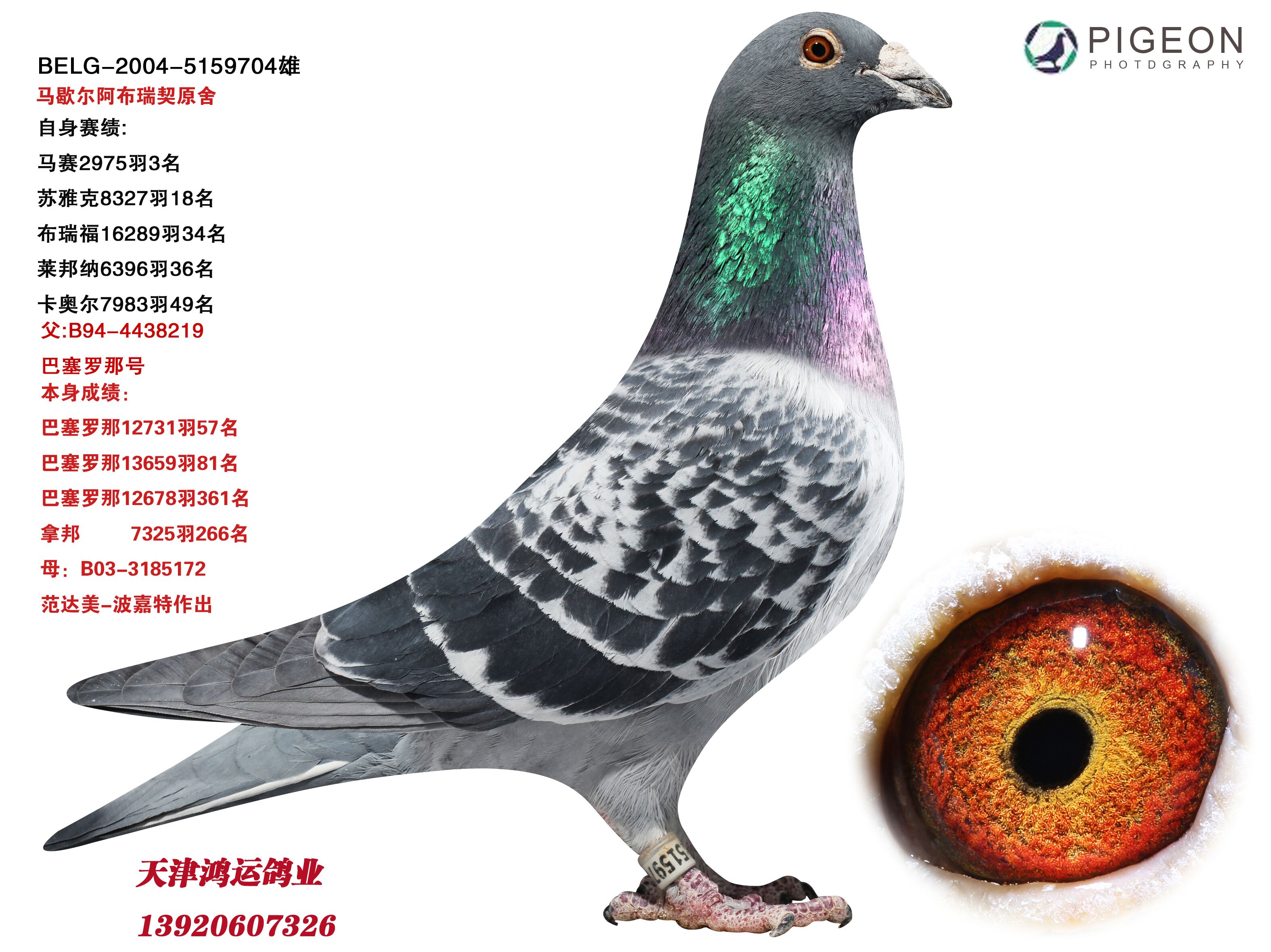 ����TA�ĸ�����