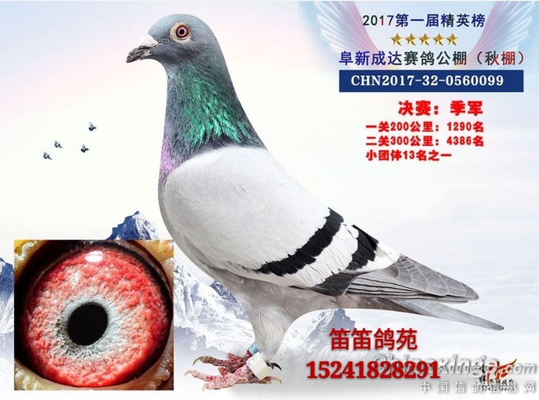 ����TA�ĸ�����