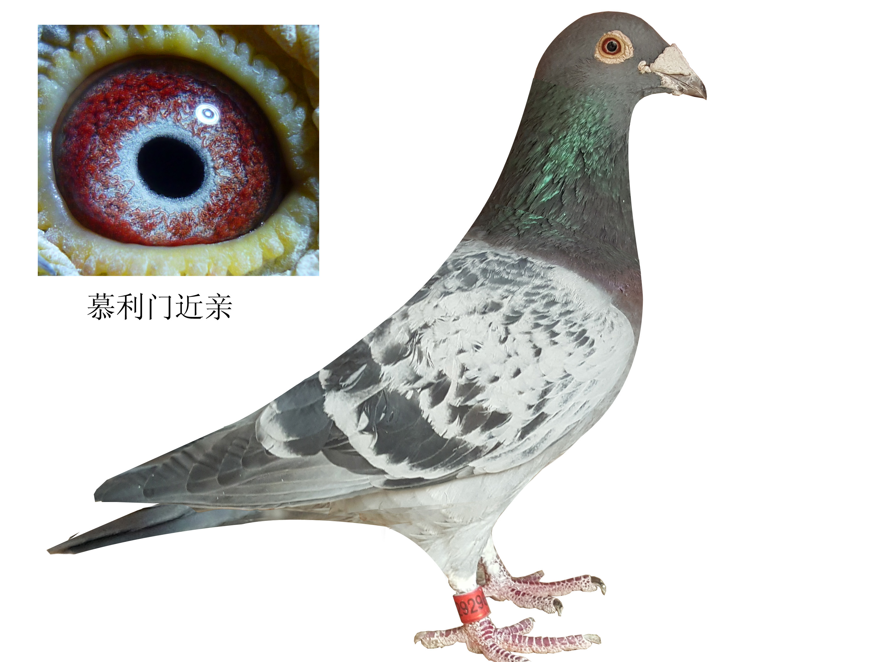 ����TA�ĸ�����