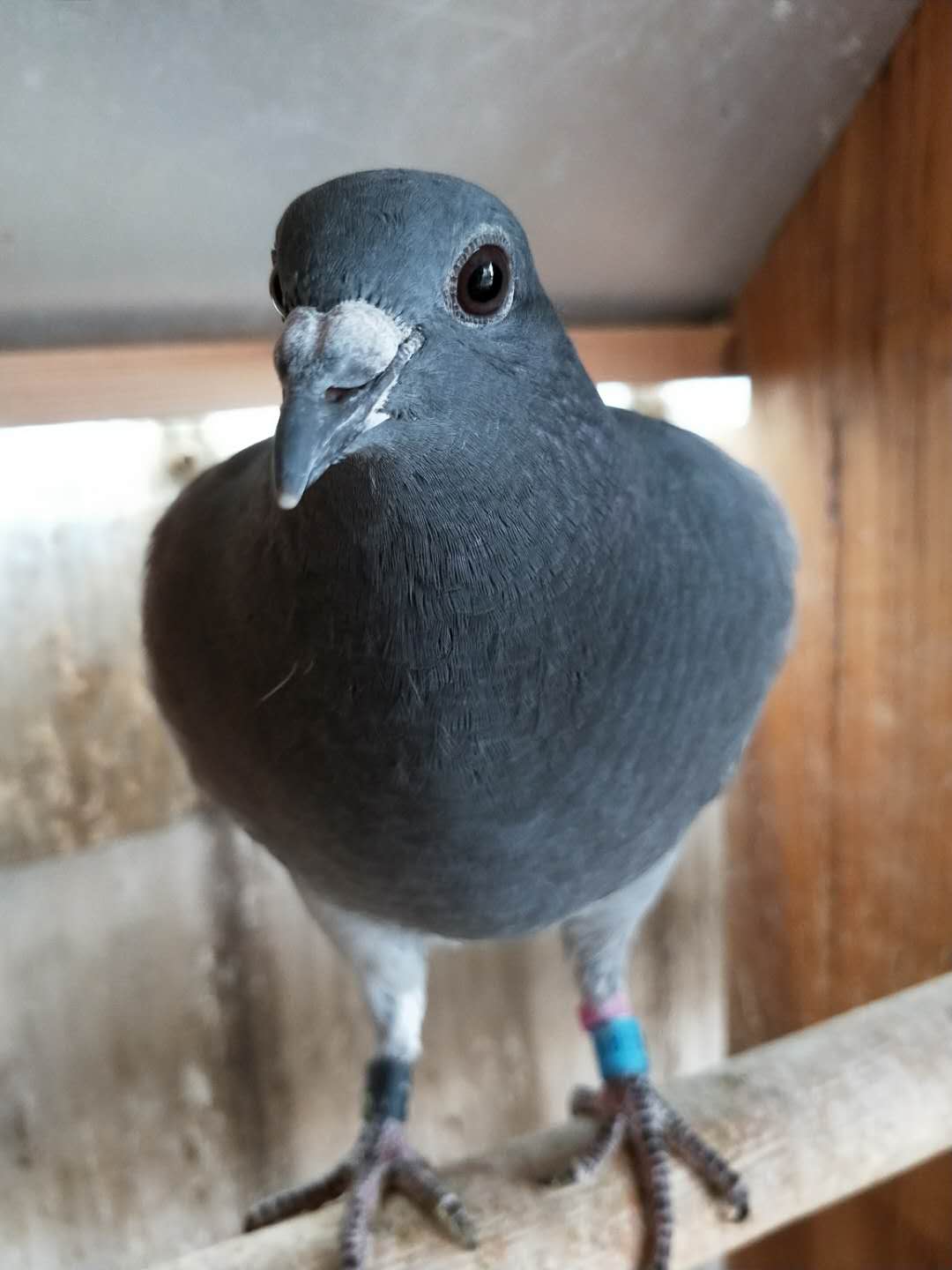 ����TA�ĸ�����