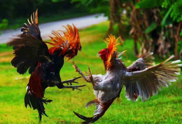 ����TA�ĸ�����