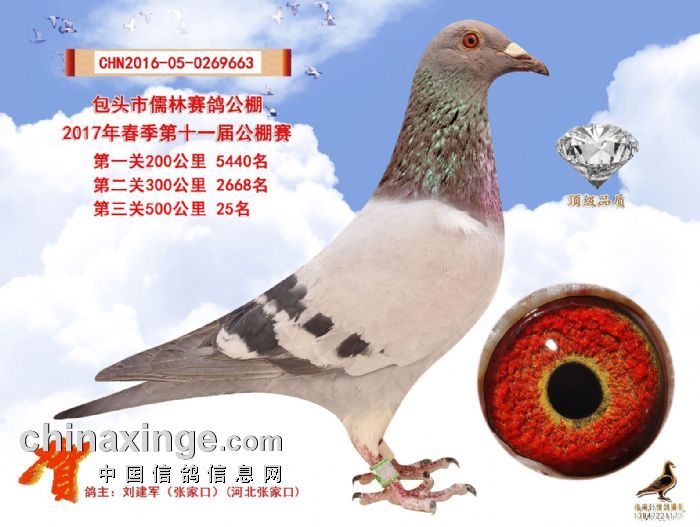 ����TA�ĸ�����