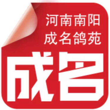 ����TA�ĸ�����