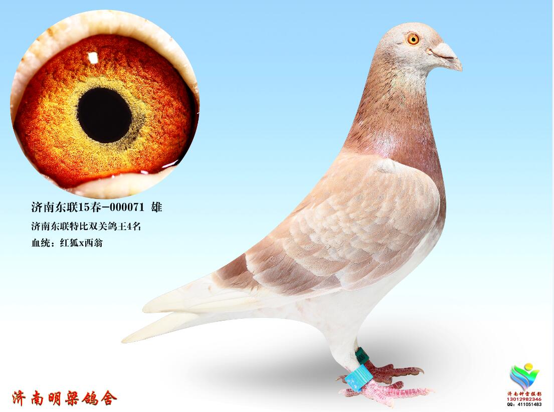 ����TA�ĸ�����