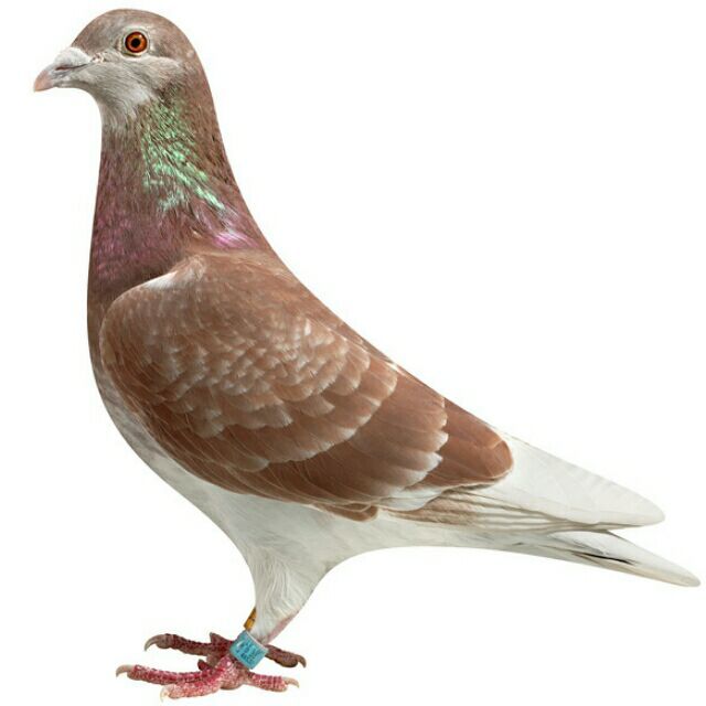 ����TA�ĸ�����