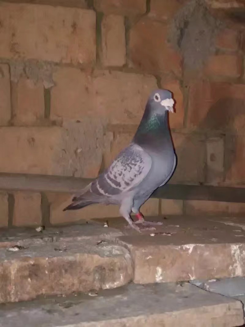 ����TA�ĸ�����