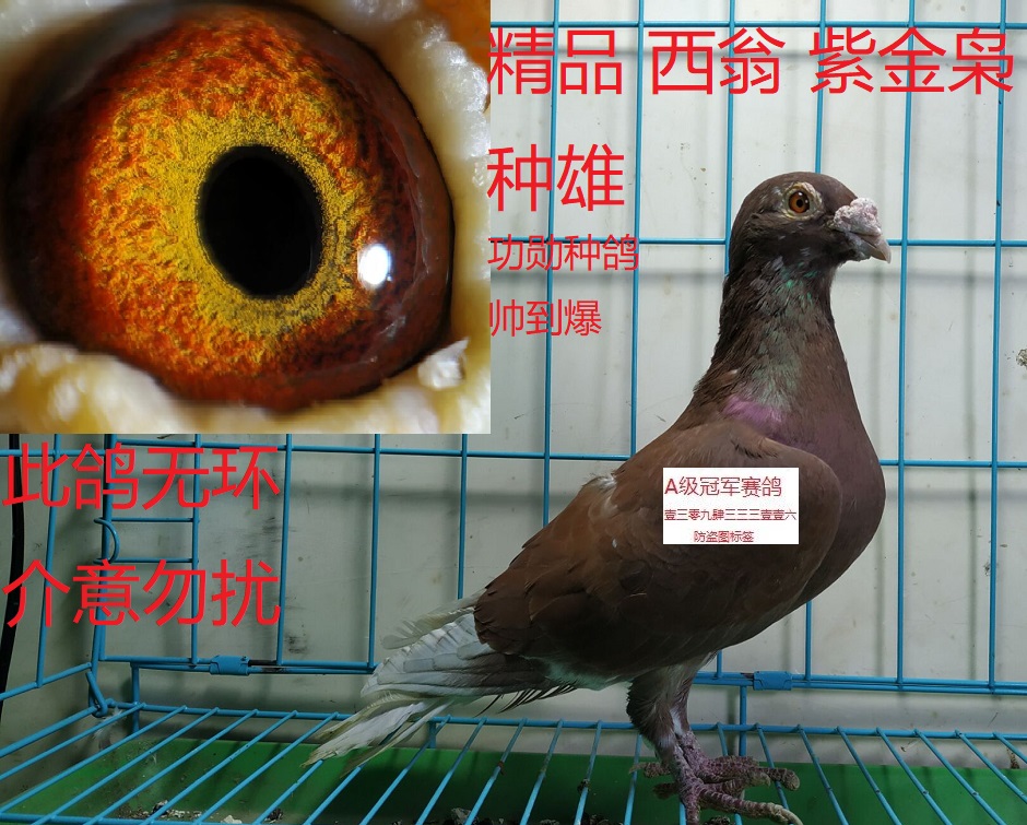 ����TA�ĸ�����