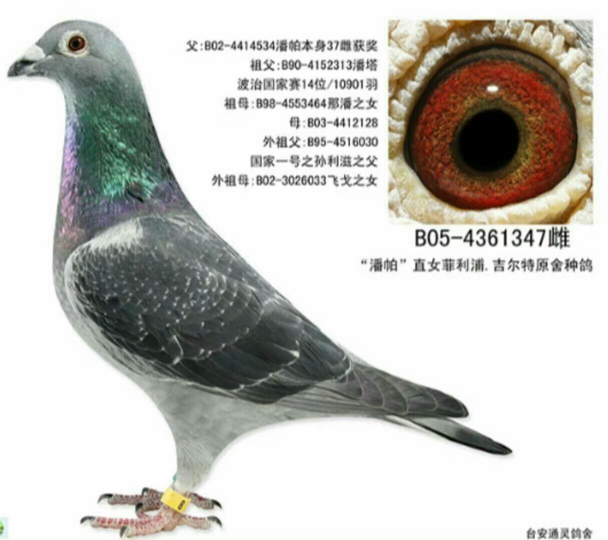 ����TA�ĸ�����