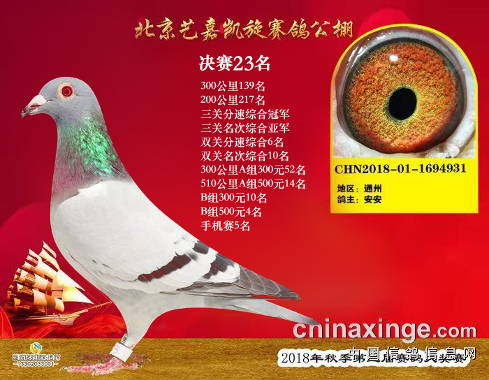 ����TA�ĸ�����