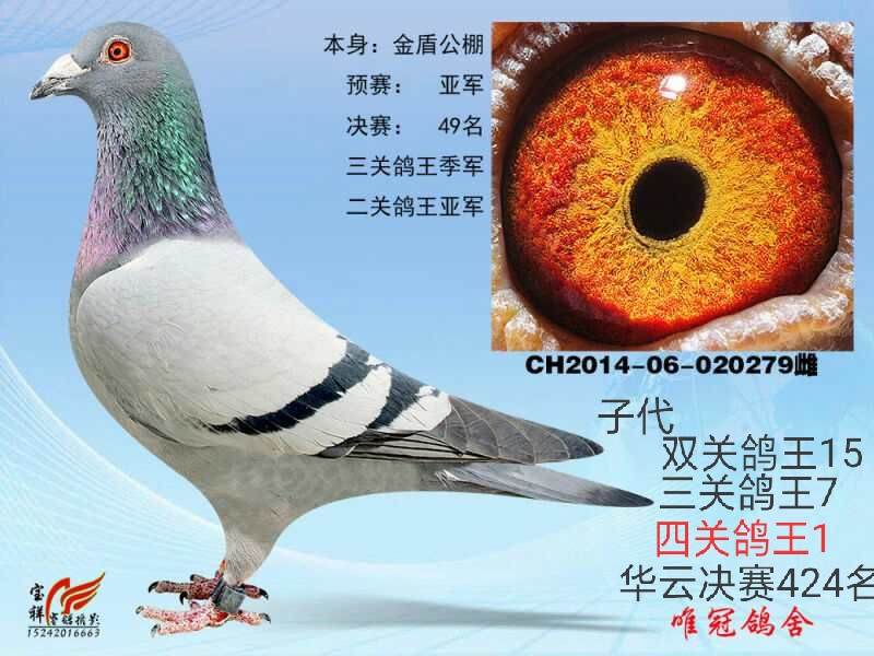 ����TA�ĸ�����