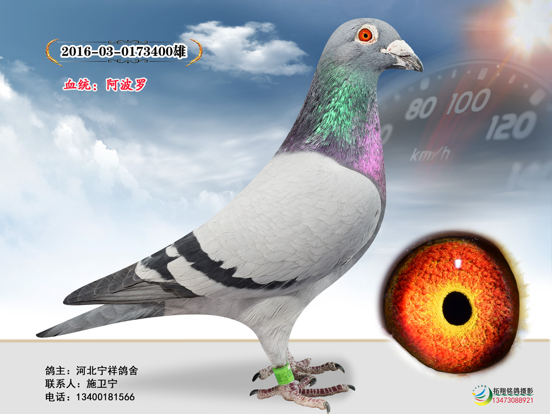 ����TA�ĸ�����