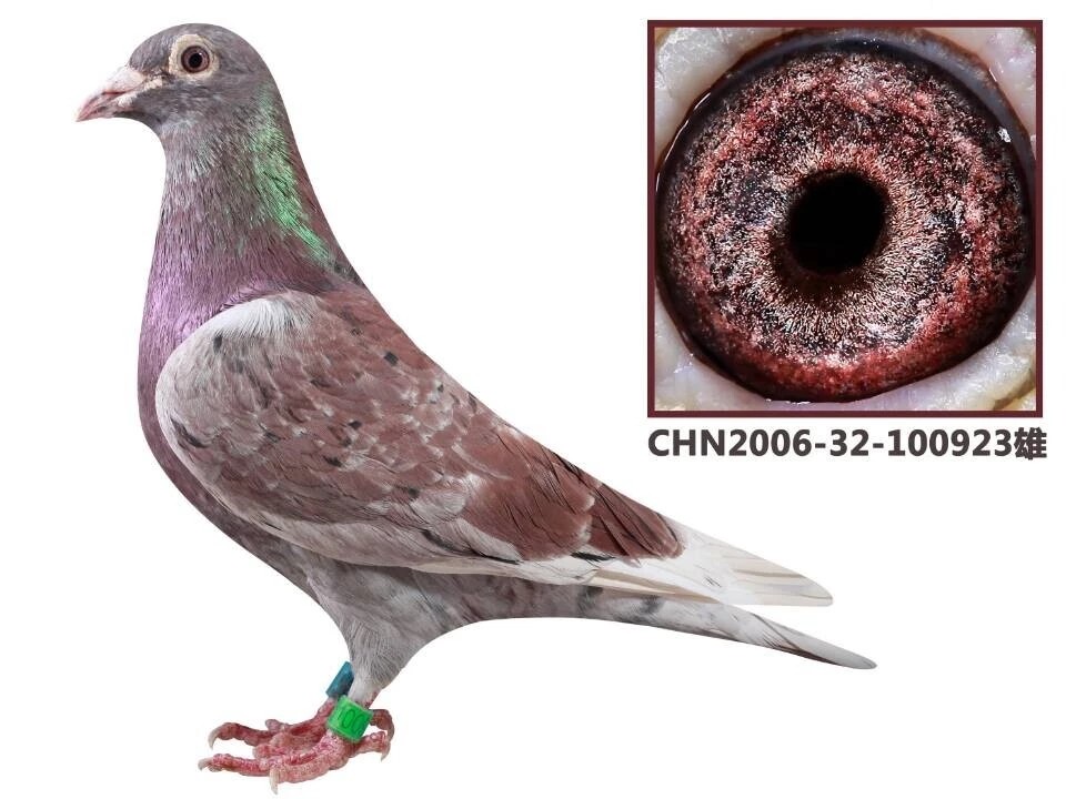 ����TA�ĸ�����