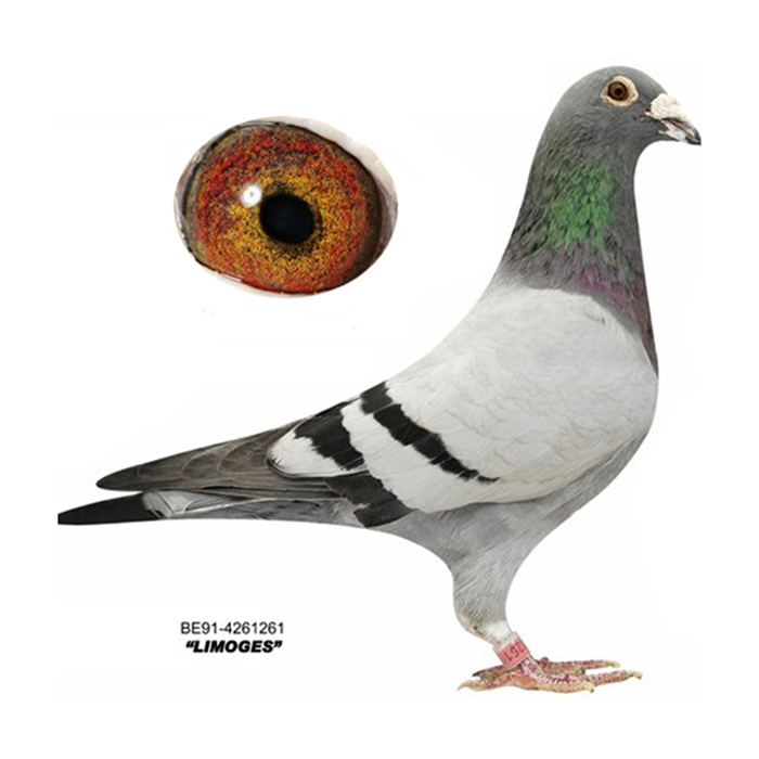 ����TA�ĸ�����