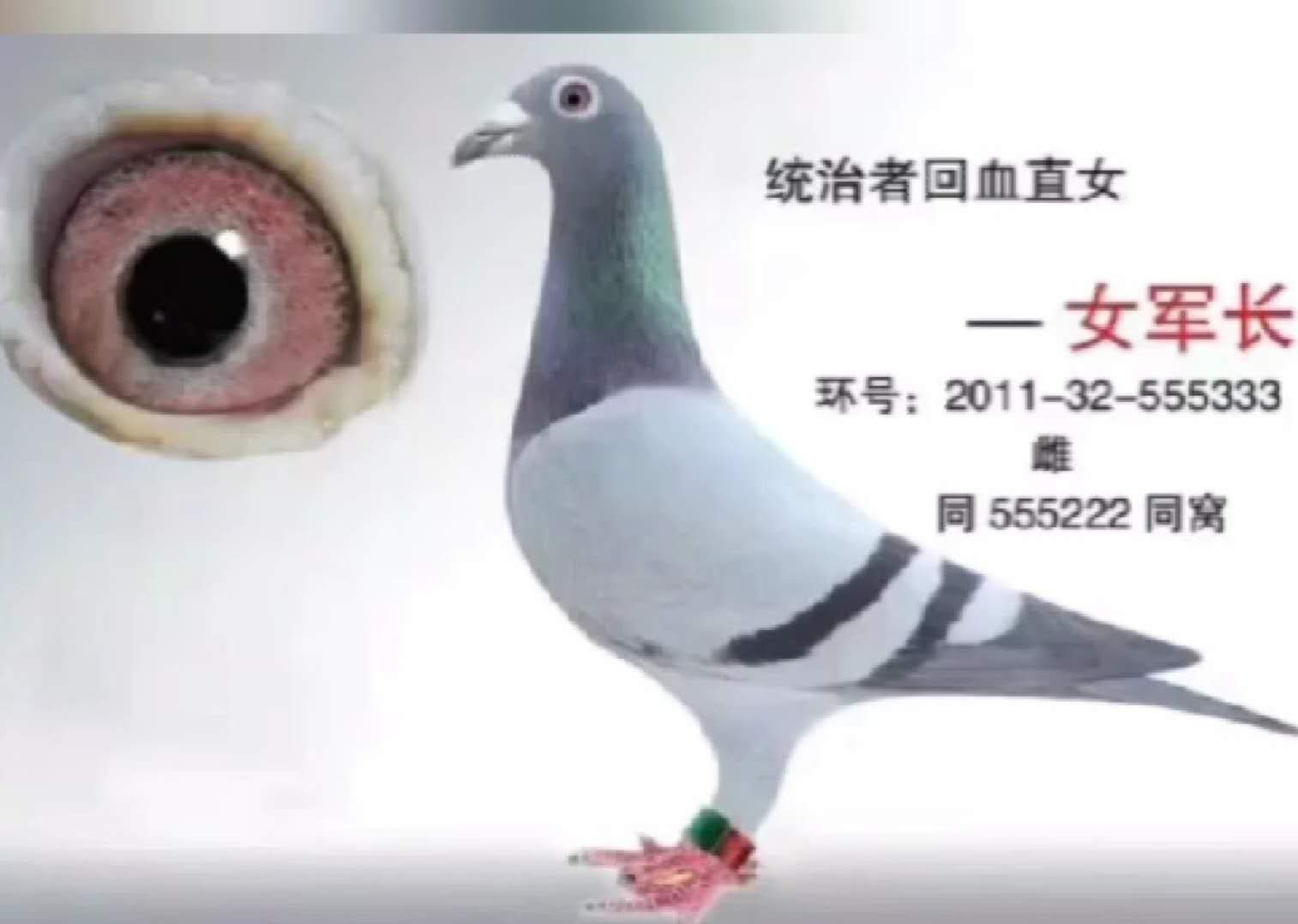 ����TA�ĸ�����