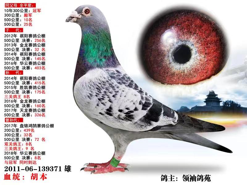 ����TA�ĸ�����