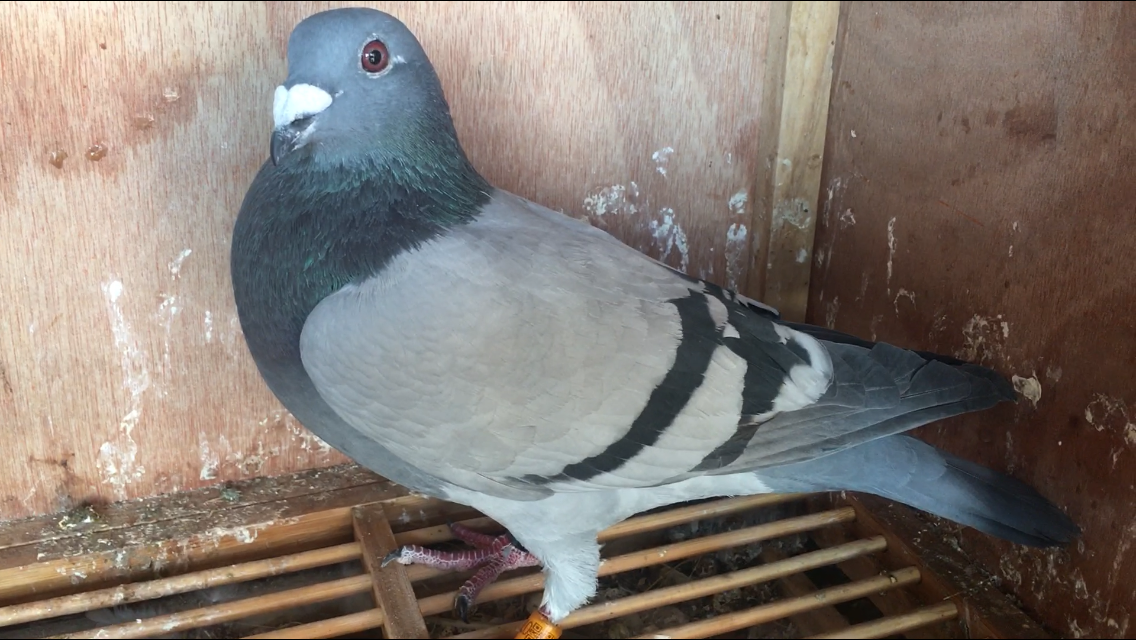 ����TA�ĸ�����