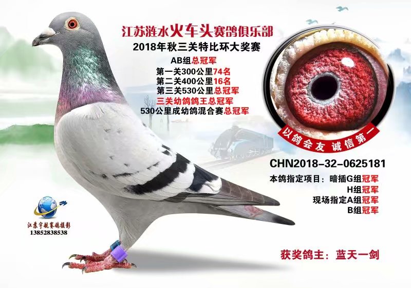 ����TA�ĸ�����