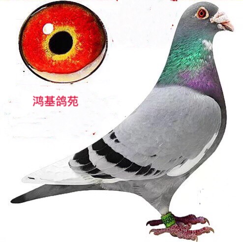 ����TA�ĸ�����