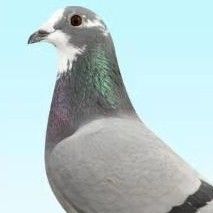 ����TA�ĸ�����