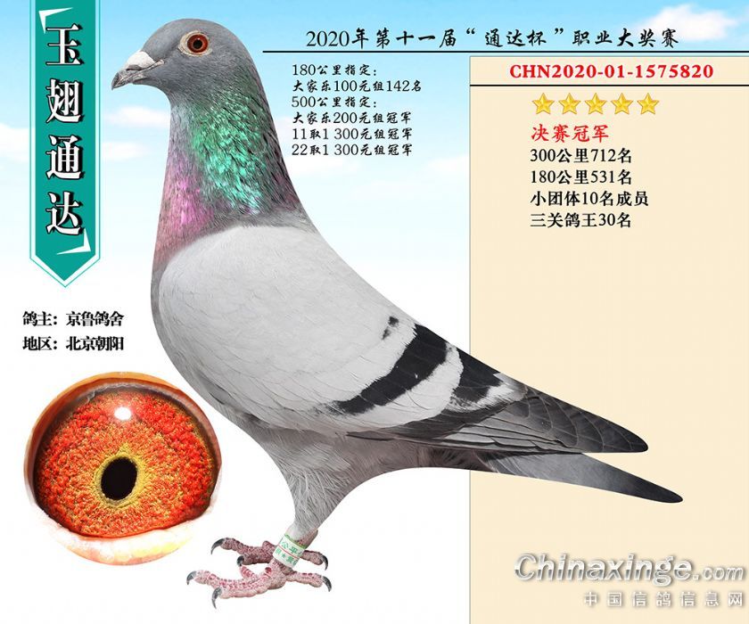 ����TA�ĸ�����