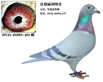 ����TA�ĸ�����