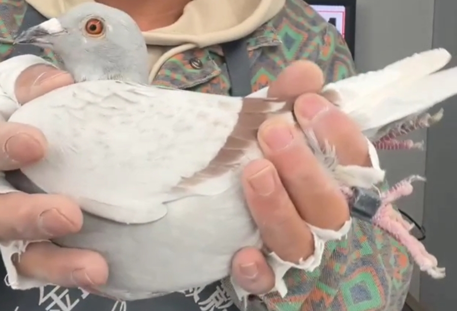 ����TA�ĸ�����