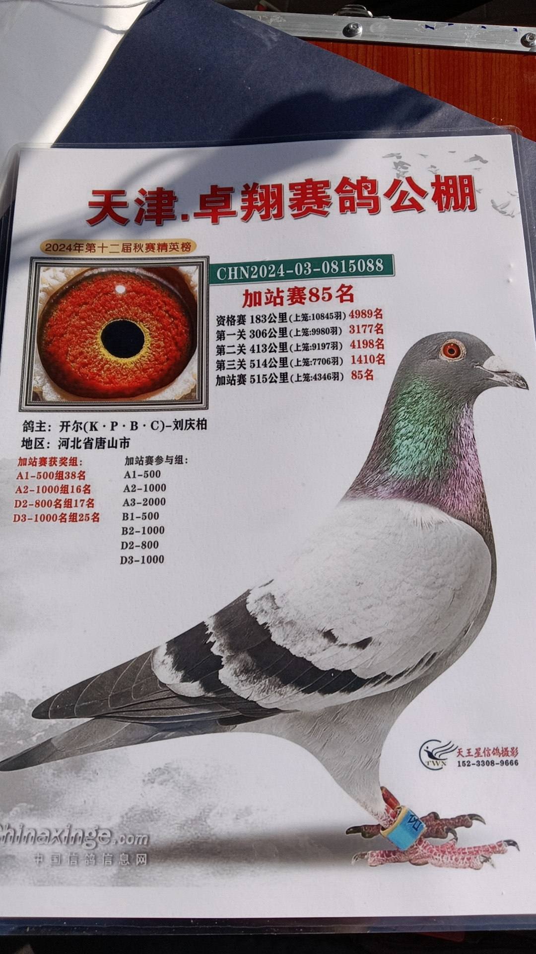 ����TA�ĸ�����