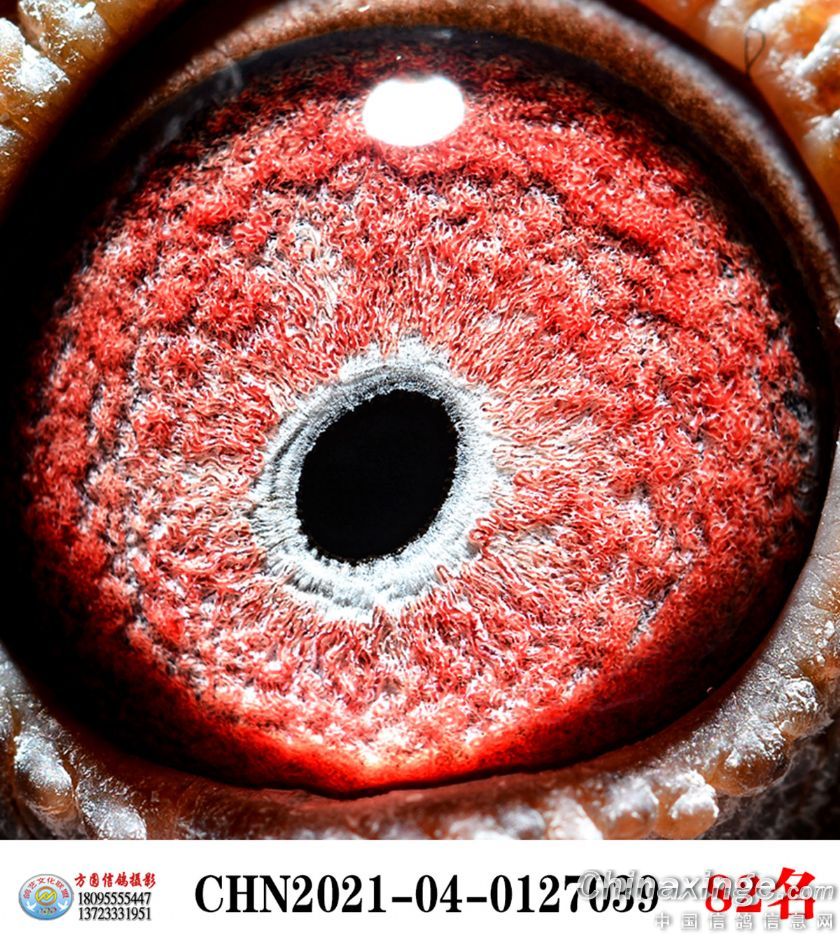 ����TA�ĸ�����