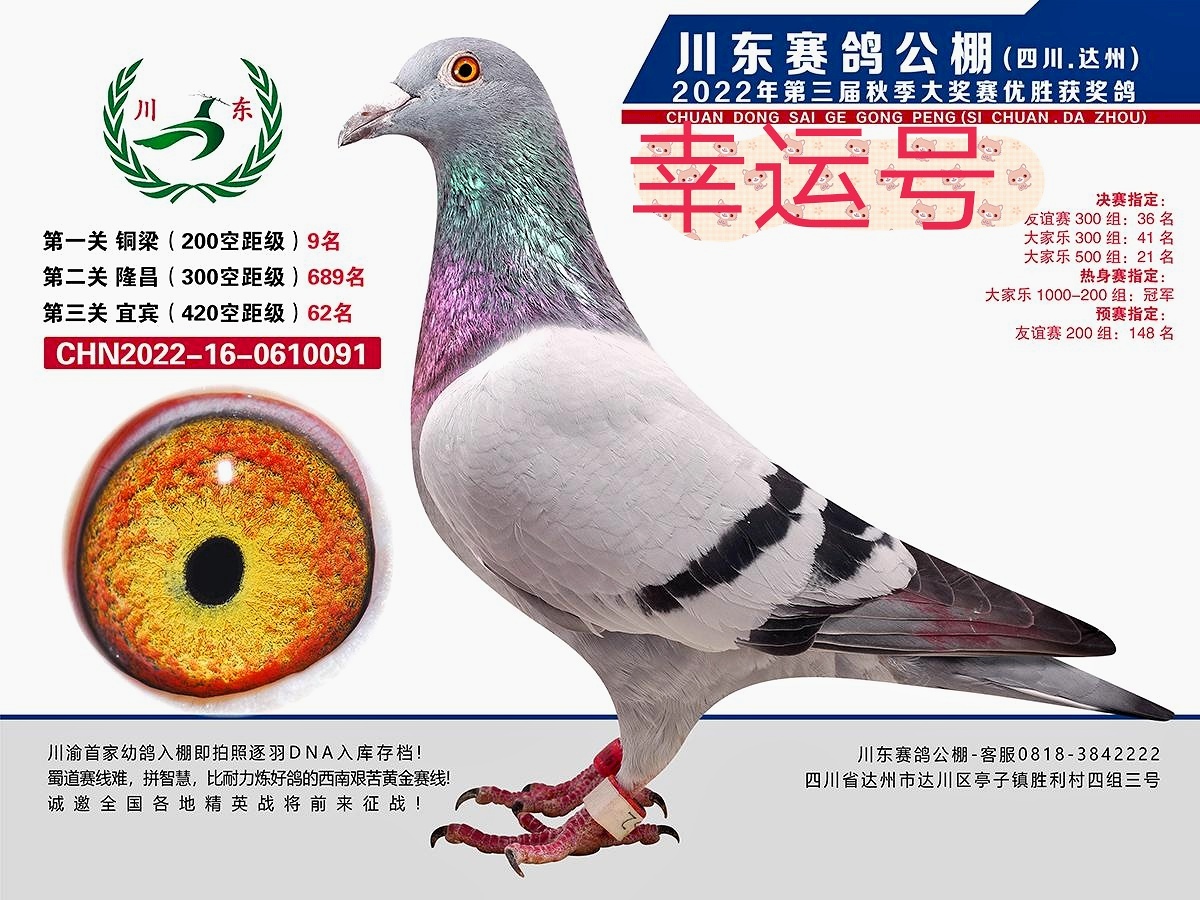 ����TA�ĸ�����