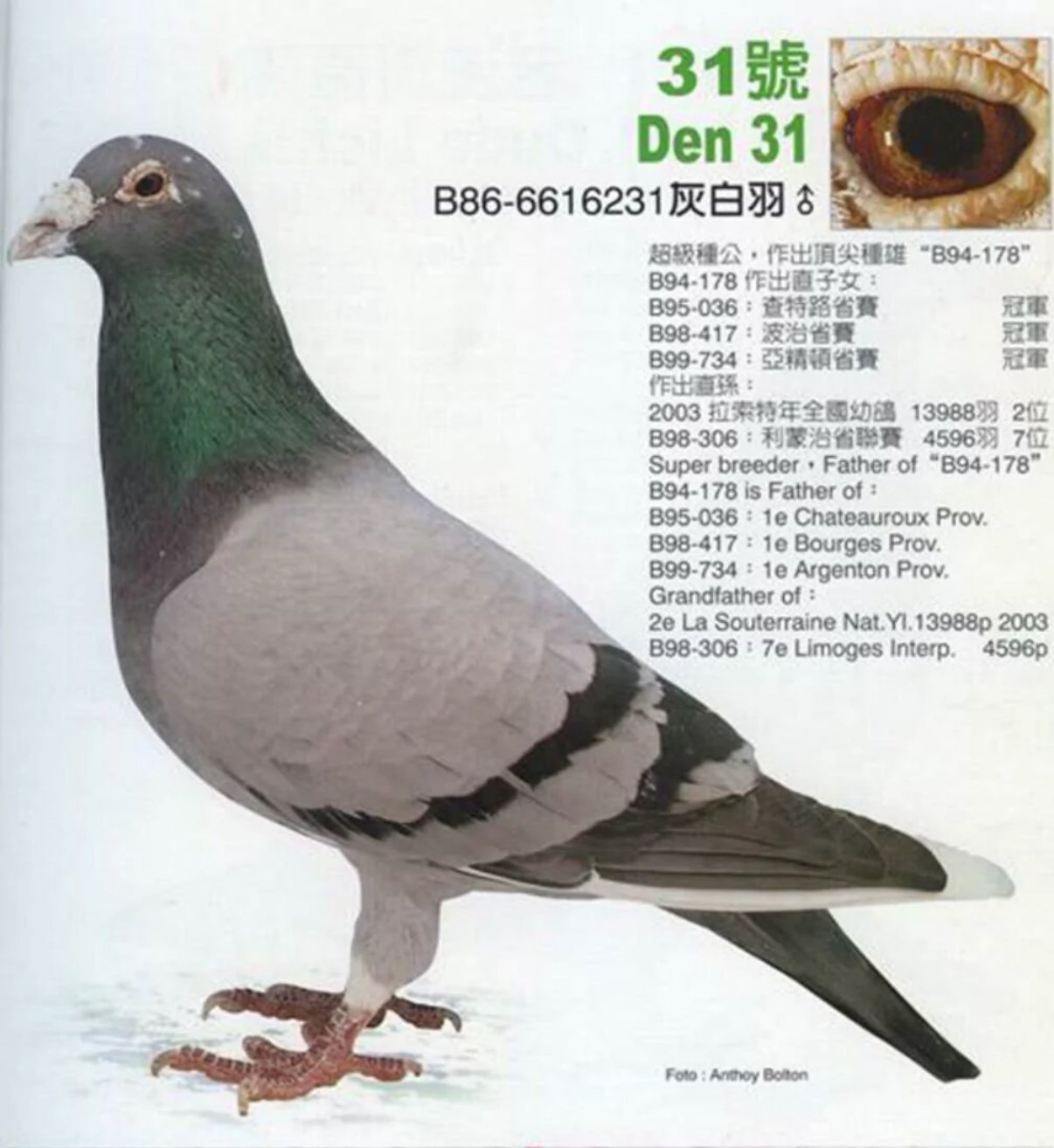 看看TA的鸽舍简介