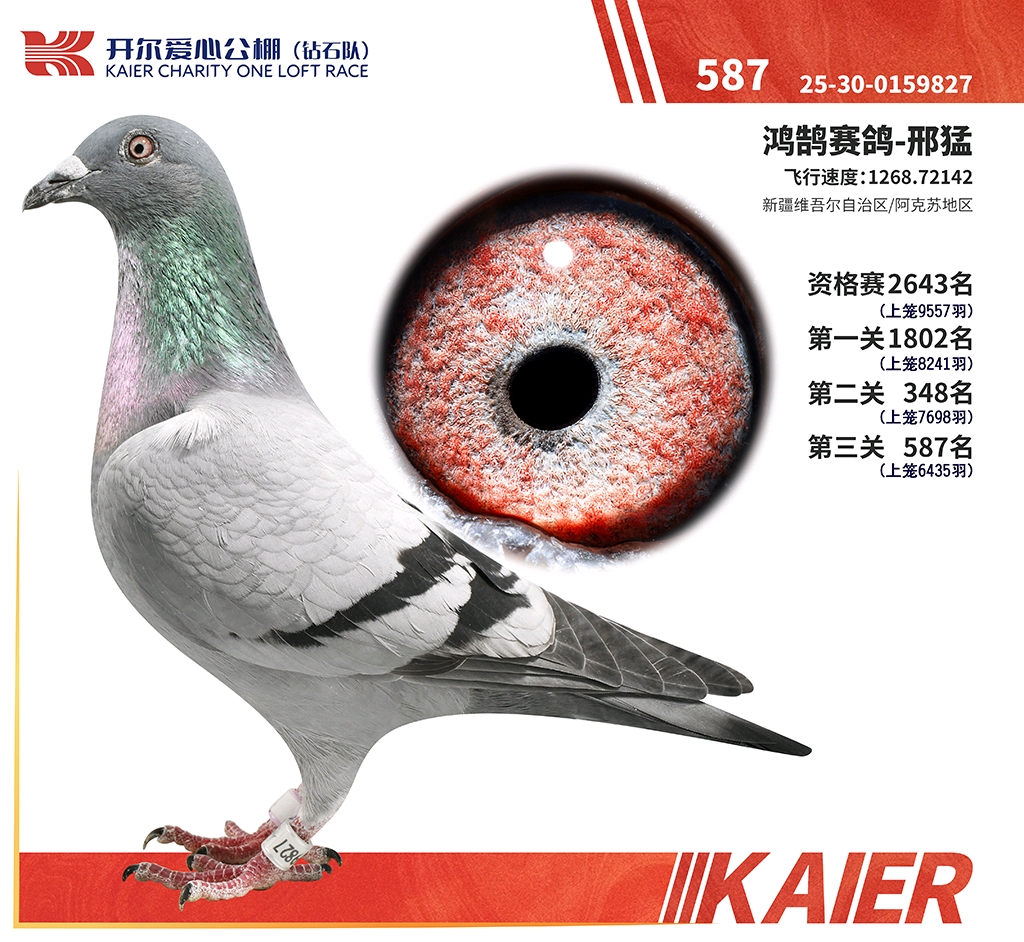 看看TA的鸽舍简介