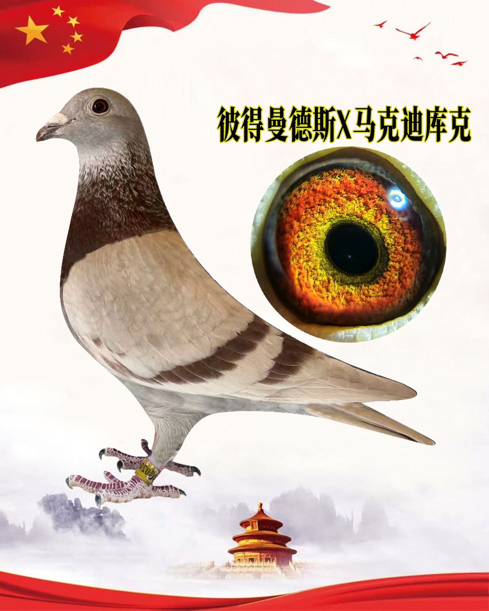 ����TA�ĸ�����